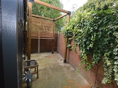 Picture 20